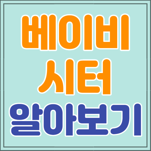베이비시터 자격증 시험&#44; 월급