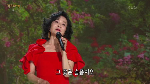 가수 이미배