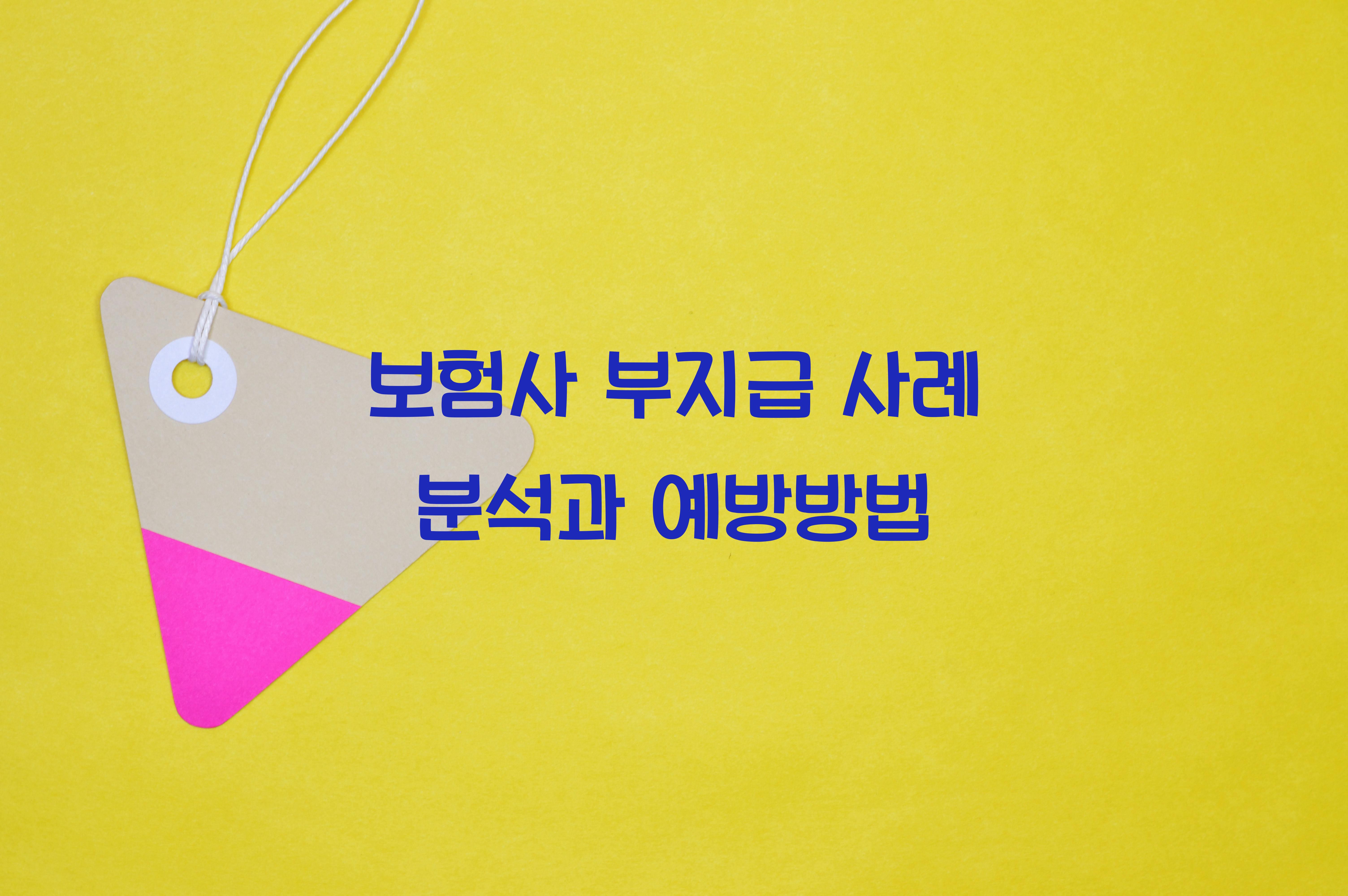 보험사 부지급 사례 분석