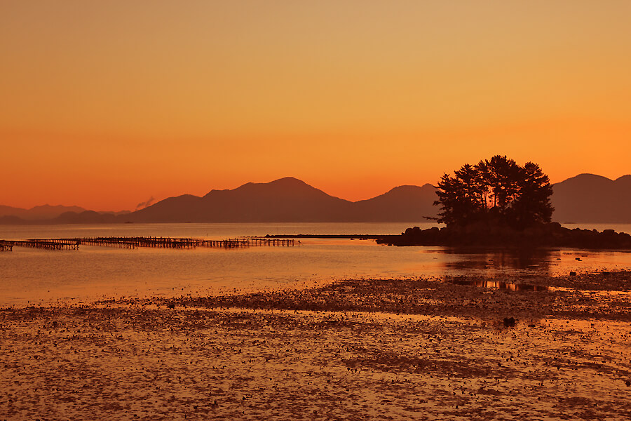 2026년 해돋이 명소 추천