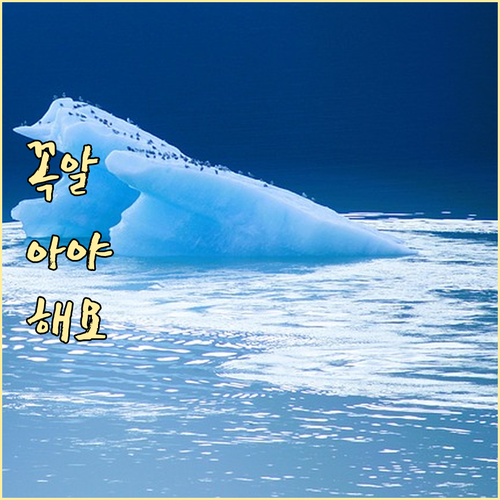 과태료 걱정 끝 이촌동 쓰레기 배출 ..