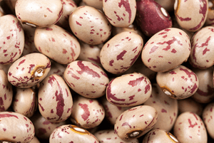 호랑이콩 효능05