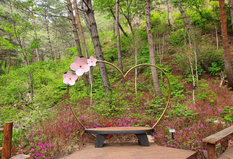 거창 항노화힐링랜드