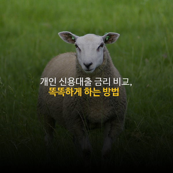 개인 신용대출 금리 비교, 똑똑하게 하는 방법 💡