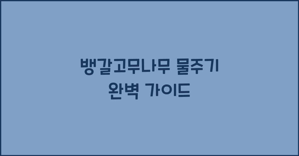 뱅갈고무나무 물주기