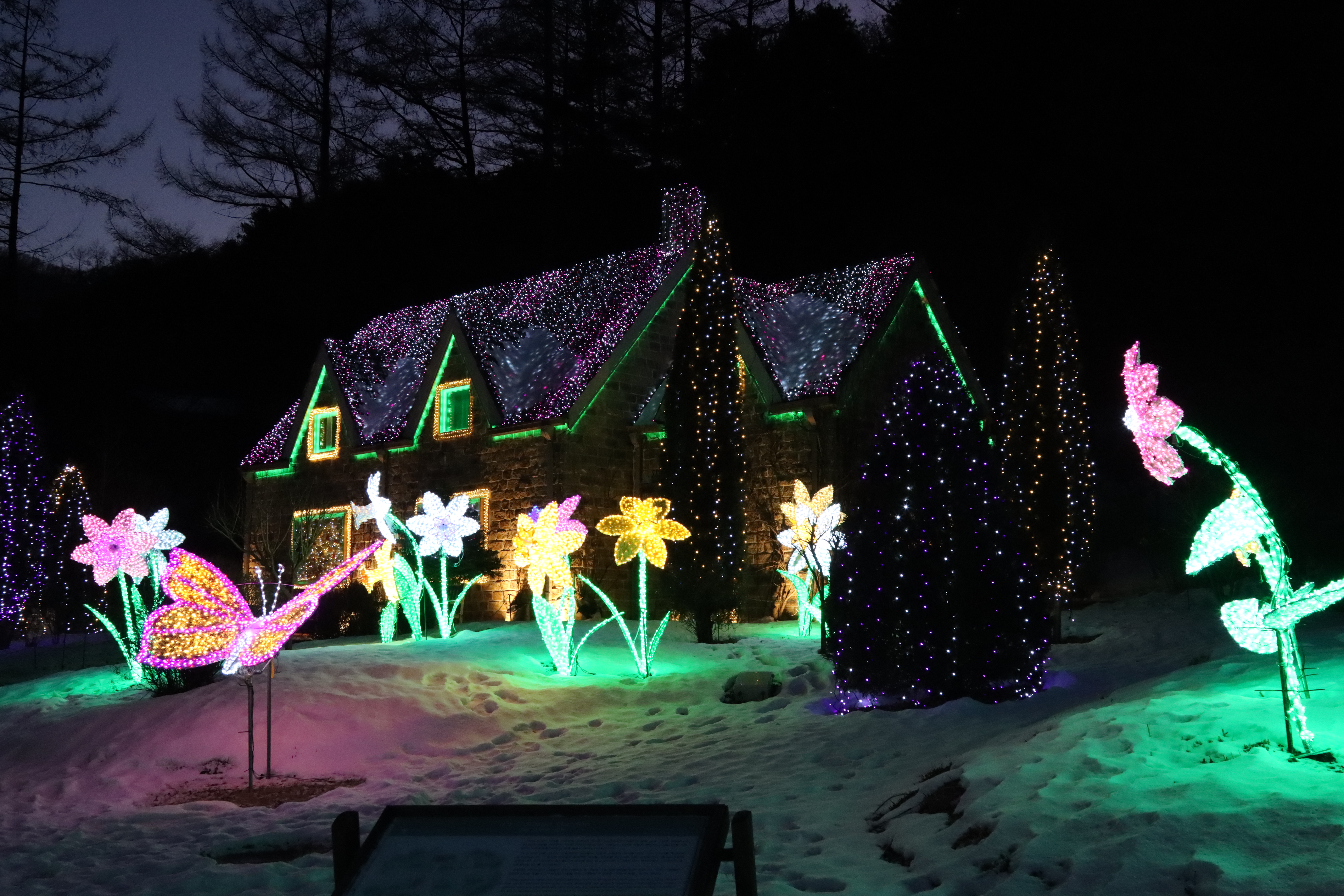 아침고요수목원