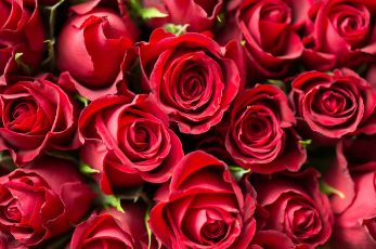 블랙이글스 에어쇼 2