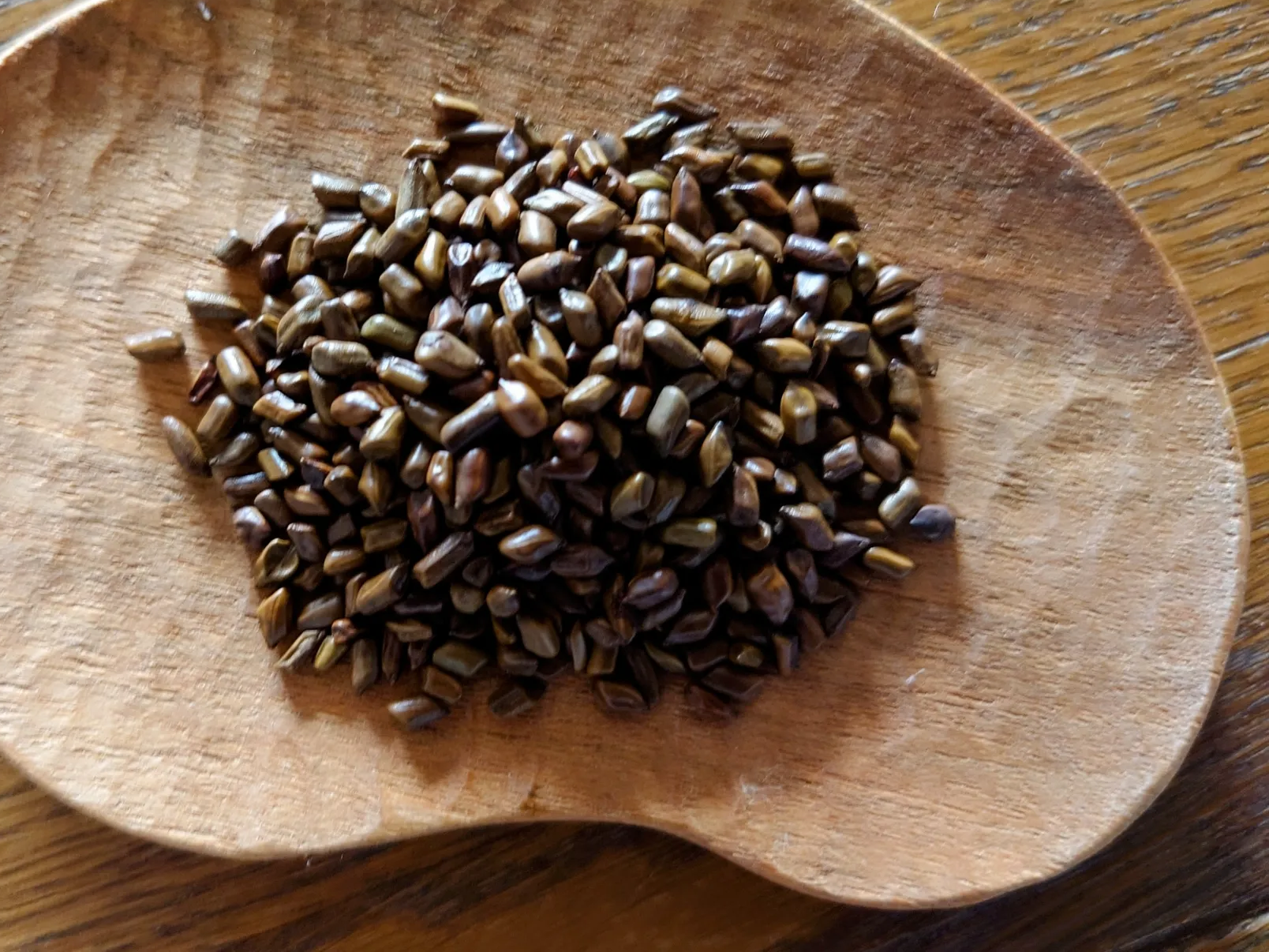 건강에 좋은 결명자차