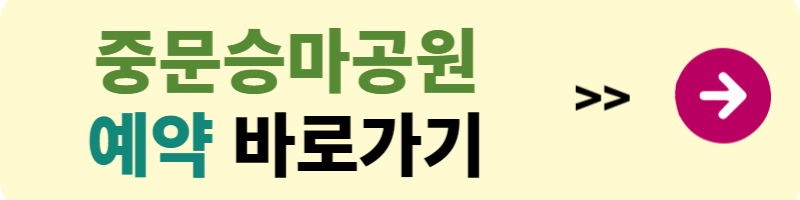 제주 승마체험