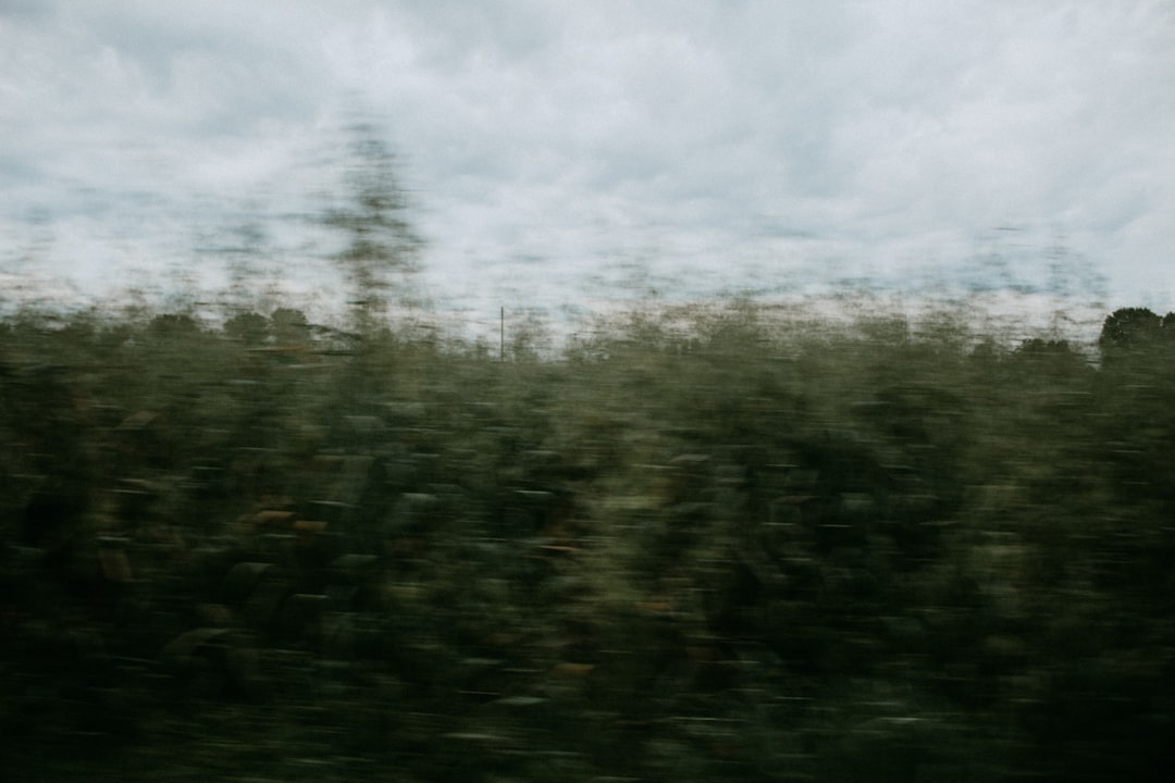 Fugue
