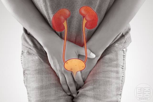 남자 당뇨 증상 특징 내분비내과 전문의 피셜 요로감염