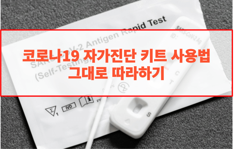 코로나 자가진단 키트 사용법 따라하기 - 썸네일