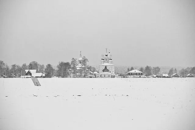 칼라데아 물주기 잎말림원인 습도관리 분무요령 시니어 맞춤 가이드_8