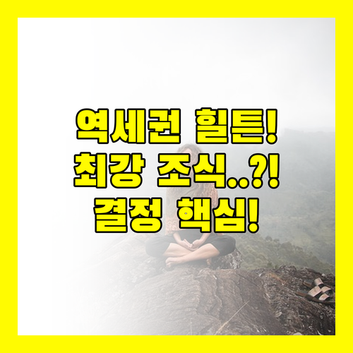 도야마 숙소 역세권 힐튼 vs 최고의..