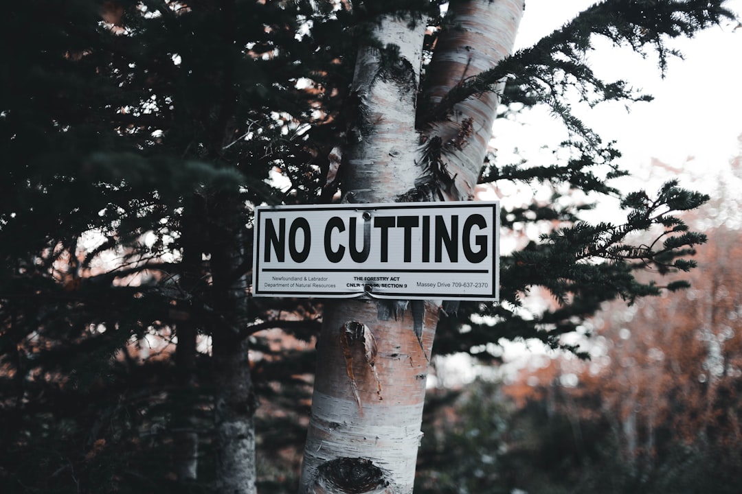 Rate cut