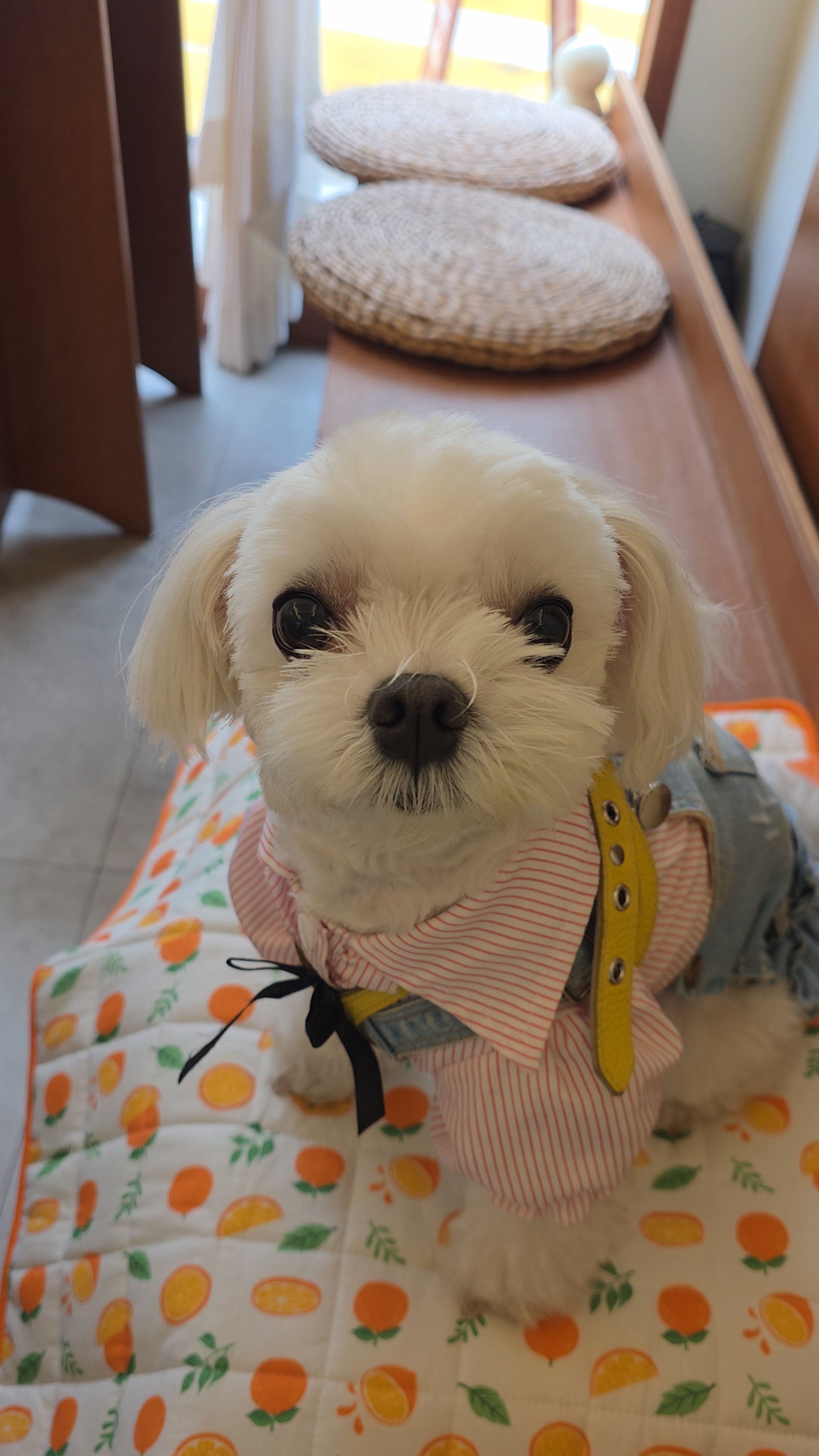 카페내 라떼 모습