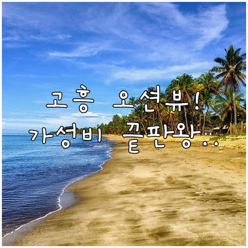 오션뷰부터 가성비까지 한눈에 보는 고..