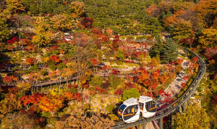 화담숲 모노레일