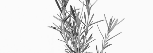 적정 온도: 15~25도