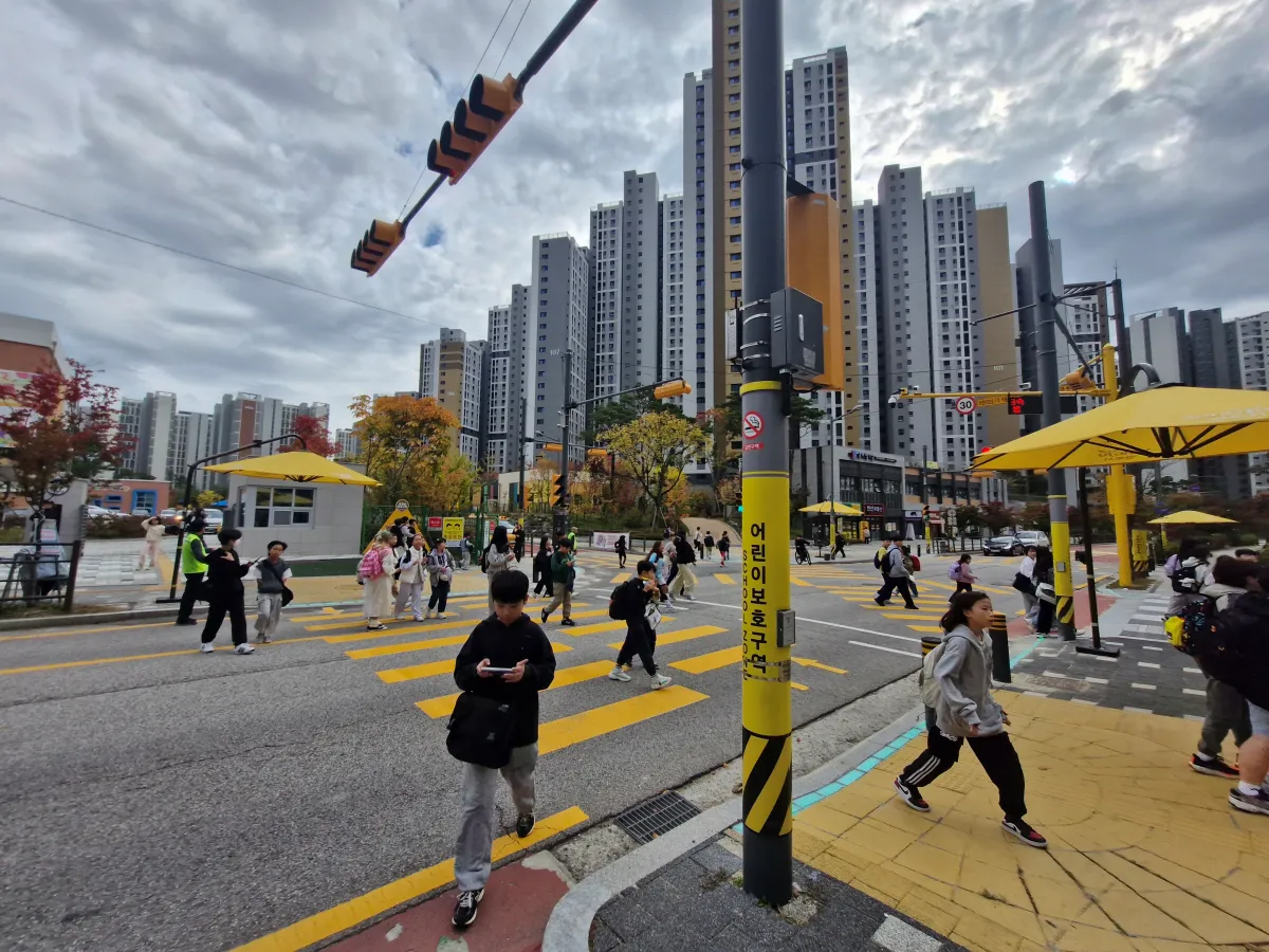 초등학교-하교하는-아이들이-횡단보도를-건너고-있다
