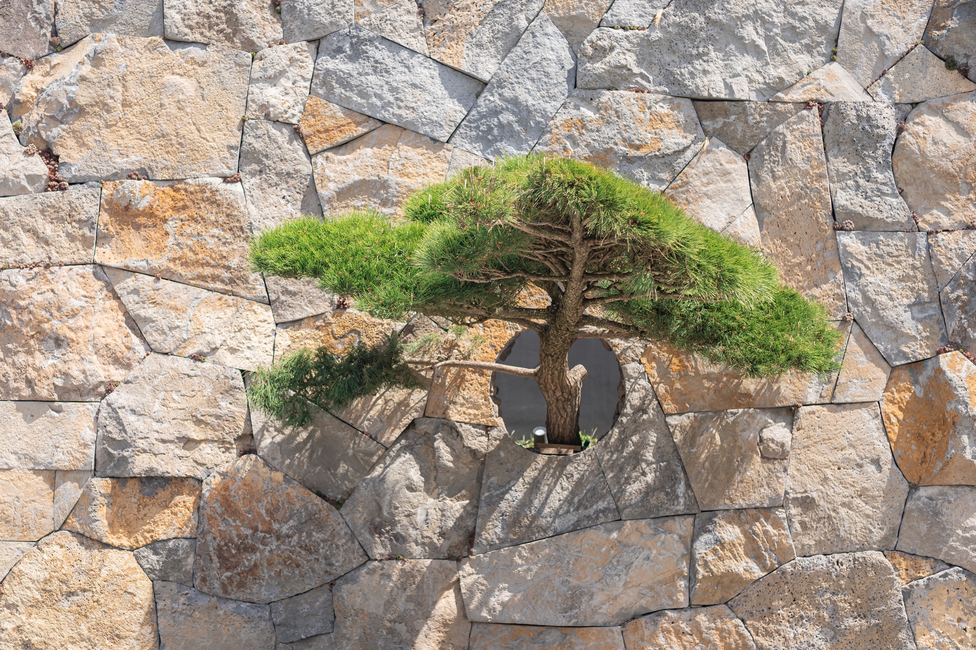 #JW메리어트 #JW메리어트제주 #JW메리어트제주리조트&스파 #범섬 #빌벤슬리 #서귀포호텔 #제주리조트 #제주메리어트 #제주여행 #제주호텔 #댄싱두루미 #더플라잉호그 #아일랜드키친