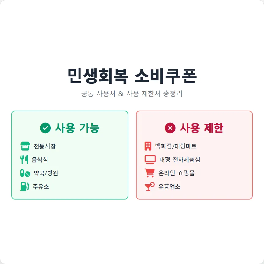 민생회복 소비쿠폰, 공통 사용처 및 사용 제한처 총정리