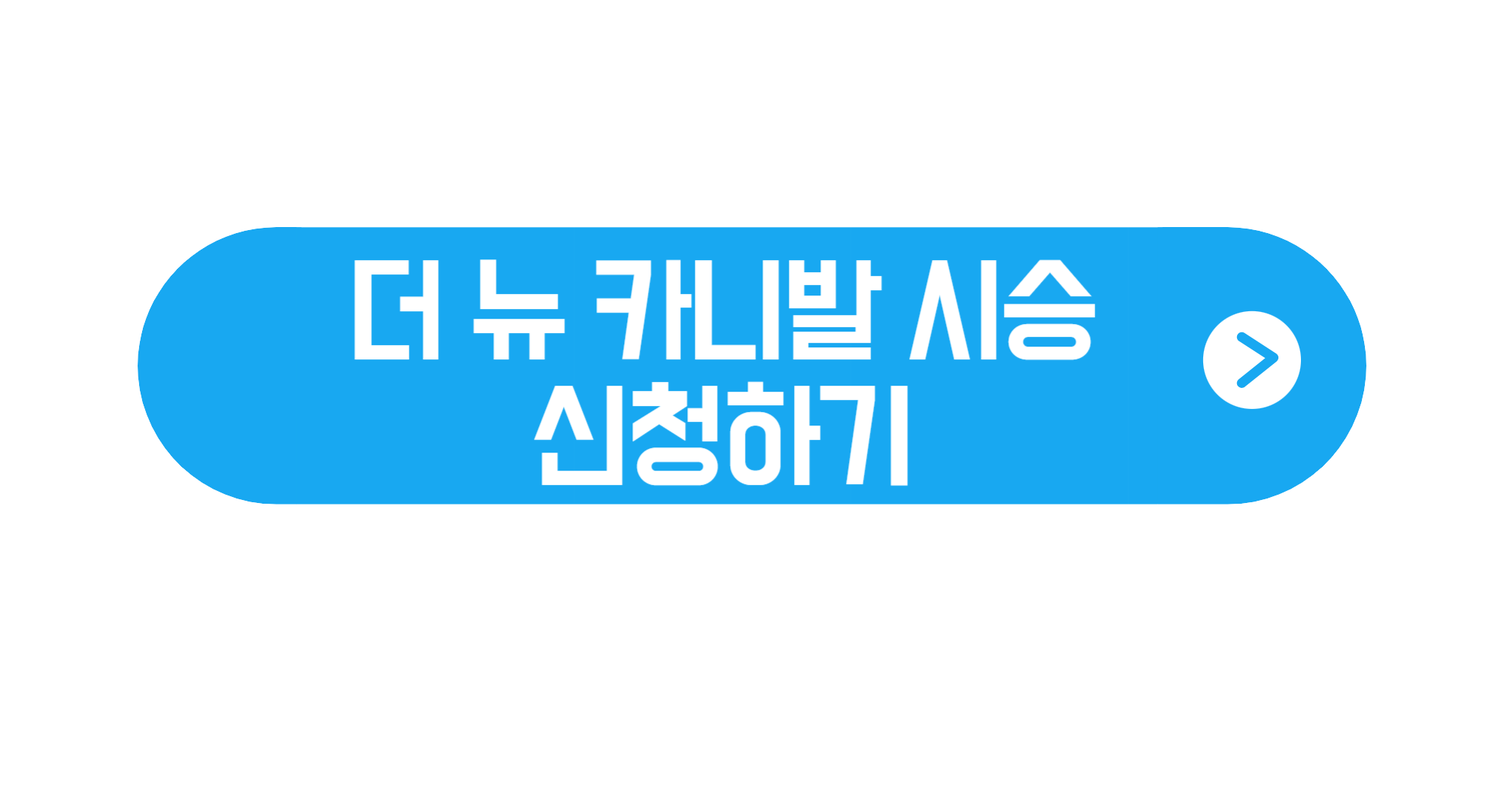 더 뉴 카니발 가격표 하이리무진 연비