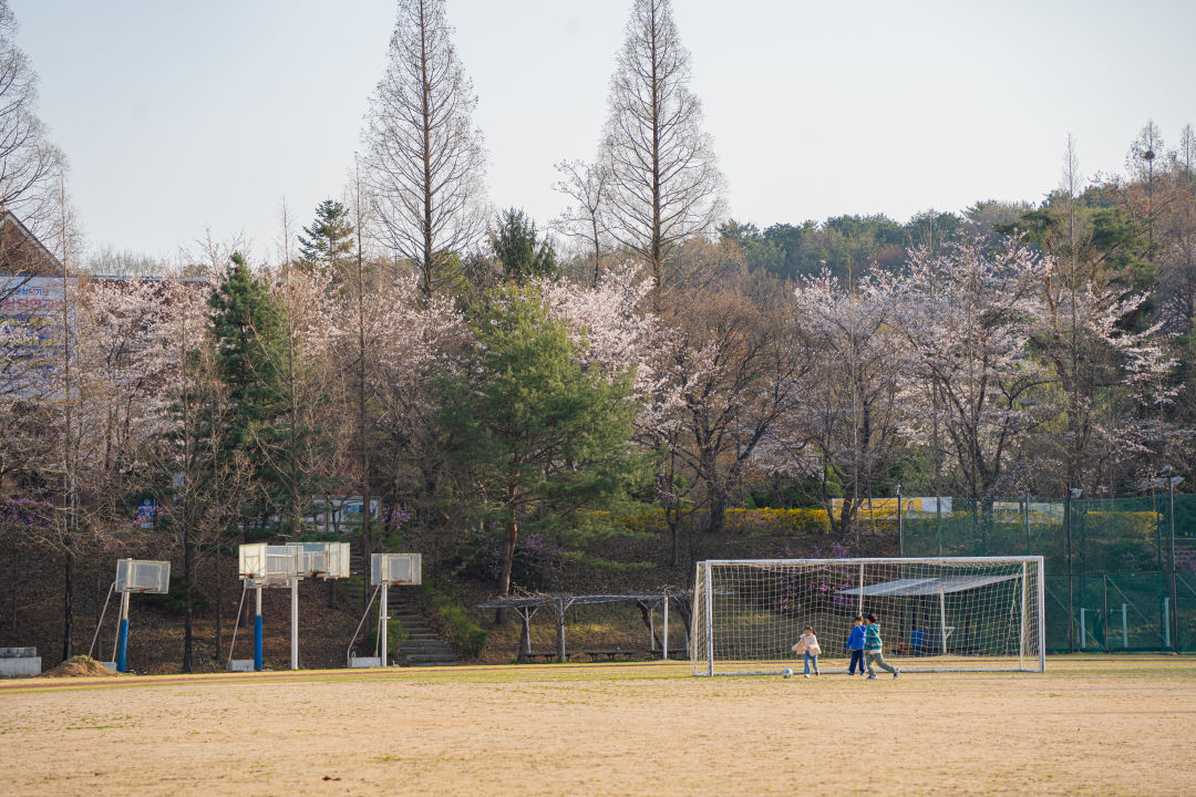 수원대학교 운동