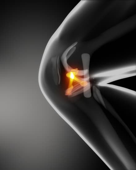 후방십자인대(PCL) 손상: 원인, 증상, 치료 및 회복