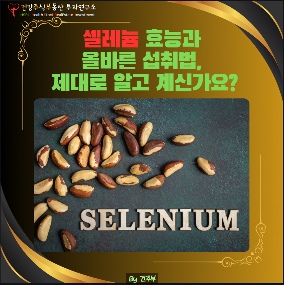 셀레늄 효능과 올바른 섭취법

(글 그림 : 건주부, 그림 출처 : Canva)