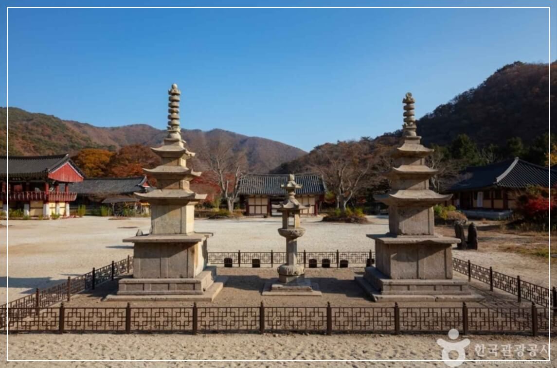 장흥 가볼만한곳 베스트10 보림사