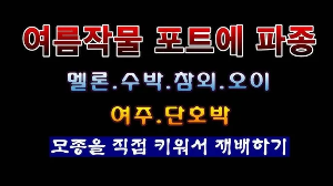 "여름
