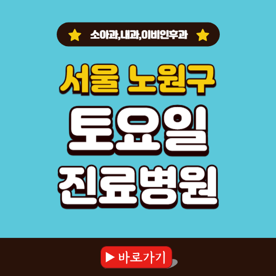 서울 노원구 토요일 진료 병원 찾기 ❘ 주말 문여는 소아과, 내과, 이비인후과 리스트