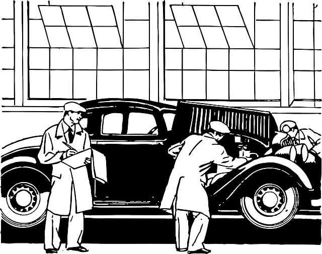 자동차보험 정보