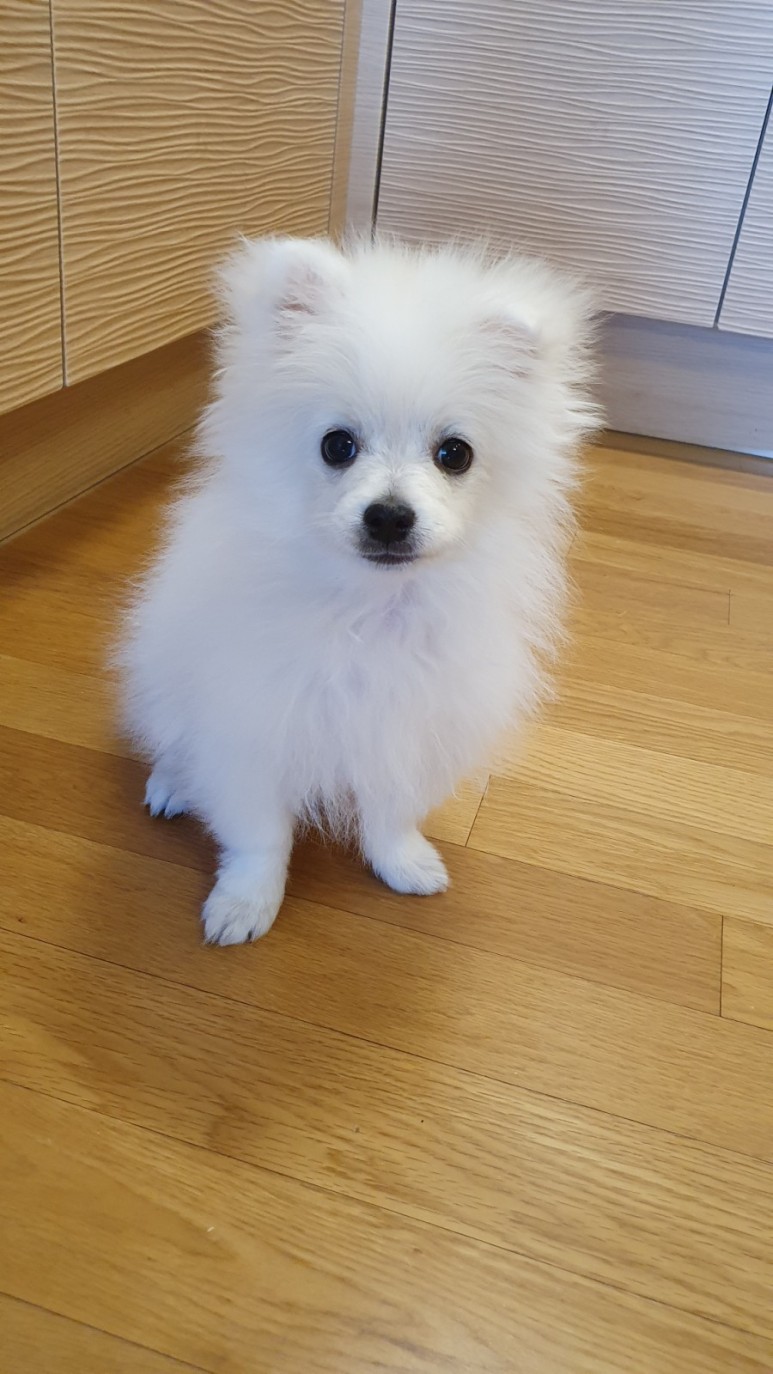 토토