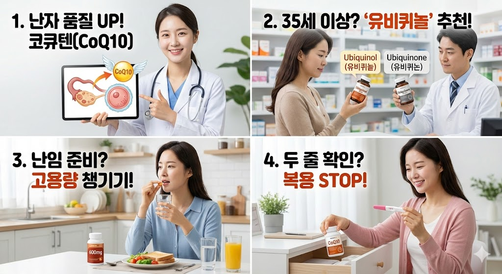 유비퀴놀 &amp; 유비퀴논