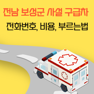 전남 보성군 사설 구급차 전화번호 비용 부르는 법