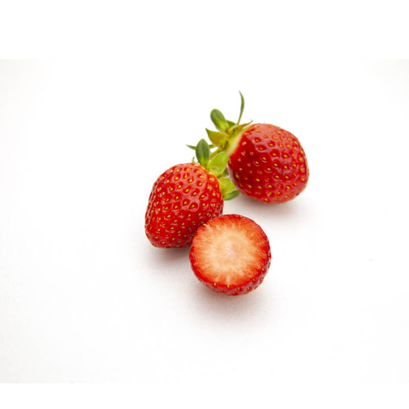 대장내시경 음식