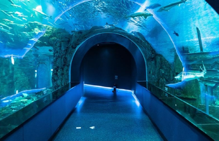 단양 아쿠아리움