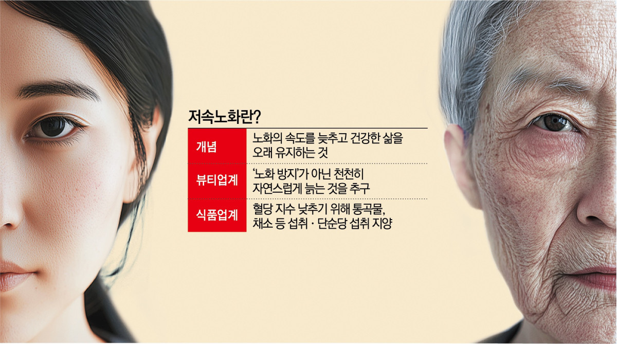 시니어 부모님 저속노화
