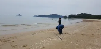 대천 호도 배편 배시간표 예매 요금 예약_9
