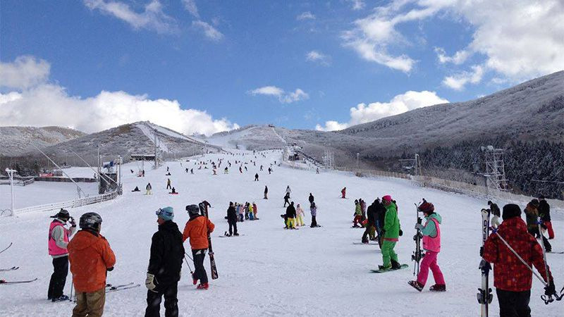 구주(九重) 산림공원 스키장