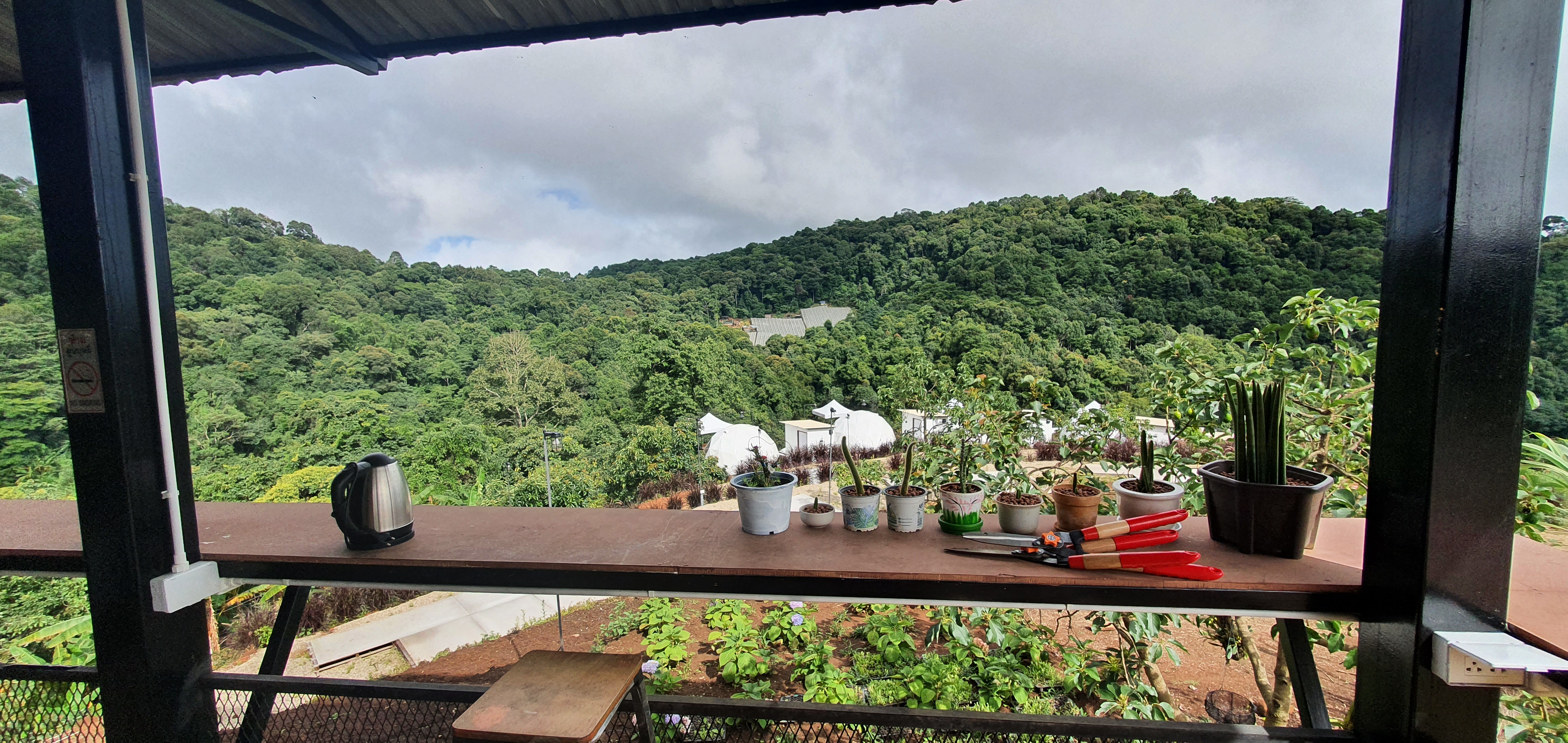 카페에서 내려다본 산 전망과 다육 식물이 어우러진 고즈넉한 야외 테라스