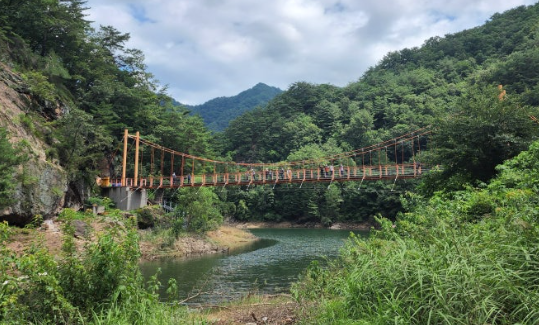 화천 비수구미 트레킹 다리