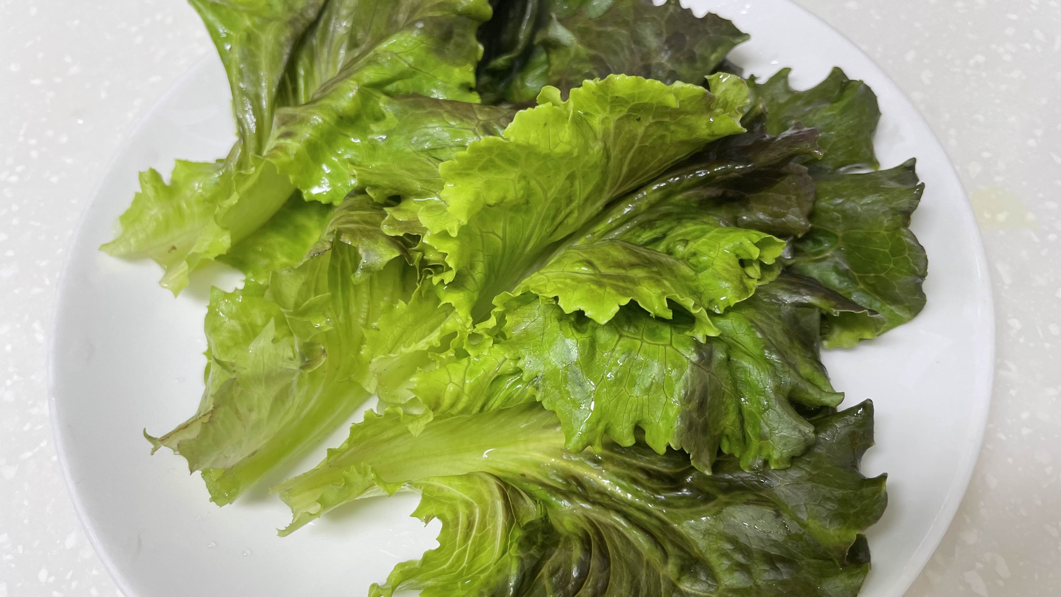 시든-상추-되살리는법