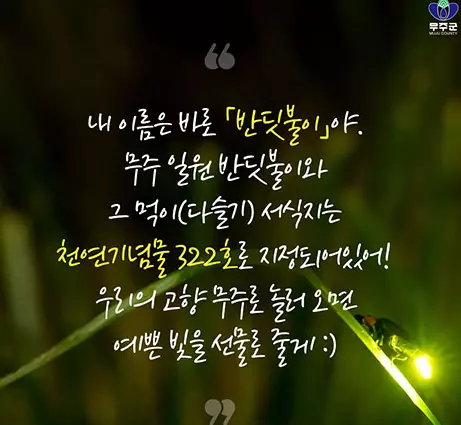 무주반딧불축제