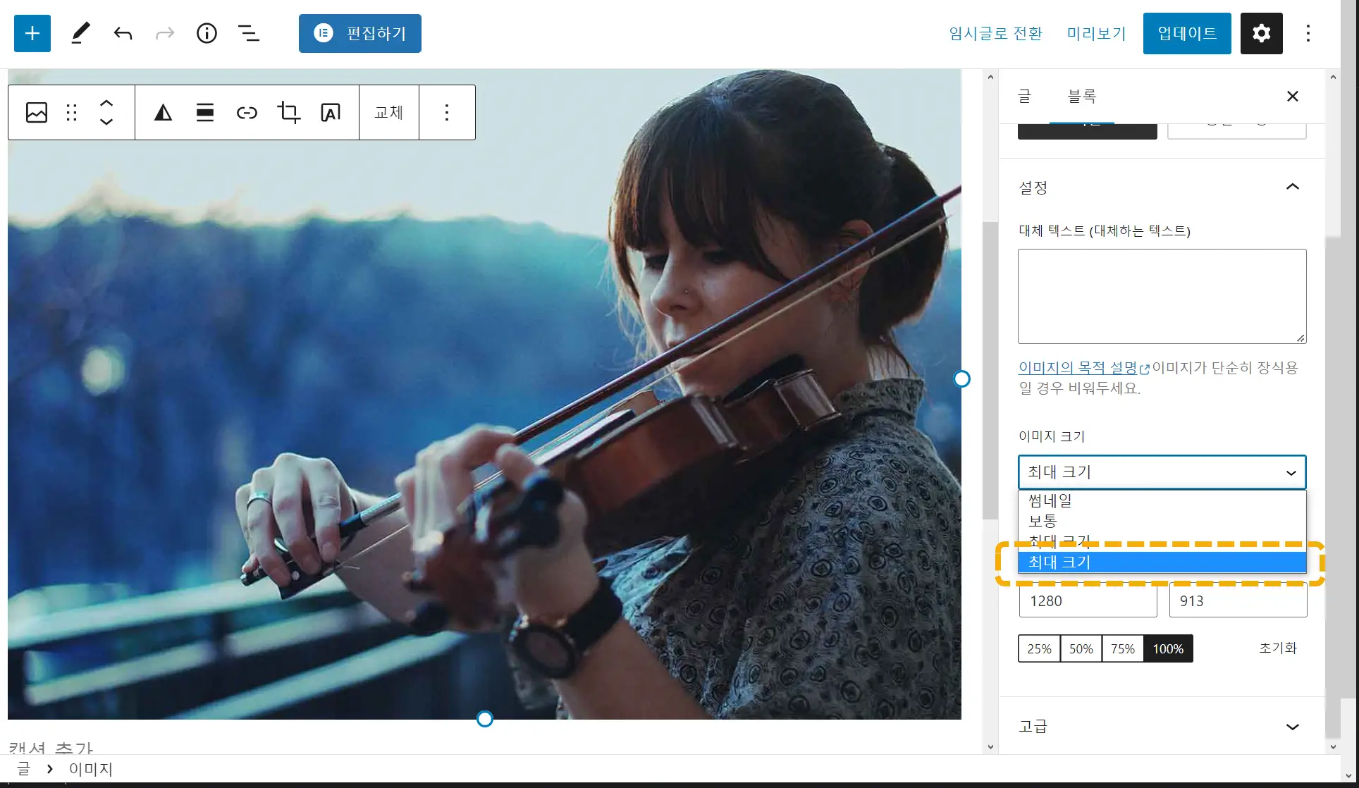 워드프레스 이미지가 작게 삽입되는 경우
