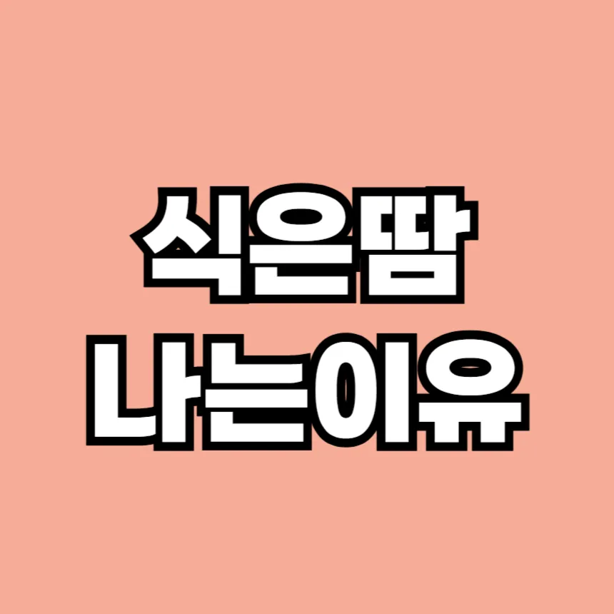 식은땀 나는 이유