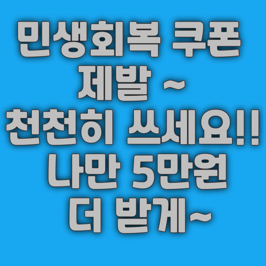 민생회복 소비쿠폰