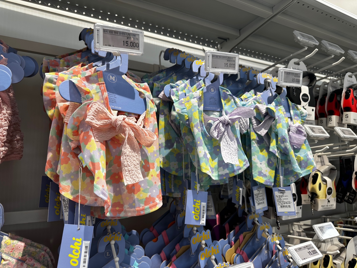 러블리한 프릴 민소매 강아지 옷 - 분홍, 하늘색 애견 여름옷 컬렉션